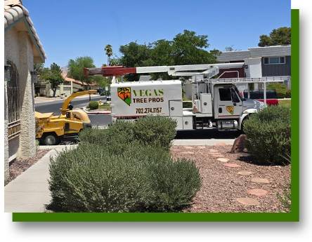 Vegas Tree Pros truck and wood chipper at residential home in Las Vegas NV