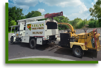 For professional tree service in Las Vegas, Henderson & Boulder City NV contact Vegas Tree Pros